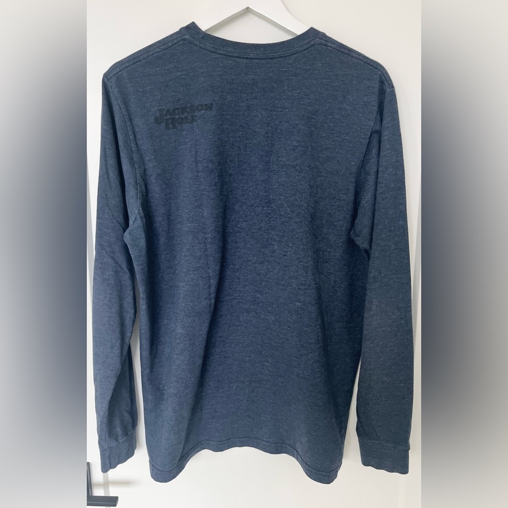 Patagonia Fitz Roy Bison Long Sleeve Shirt Men's L Blue Crew Neck Jackson Hole - Picture 4 of 9